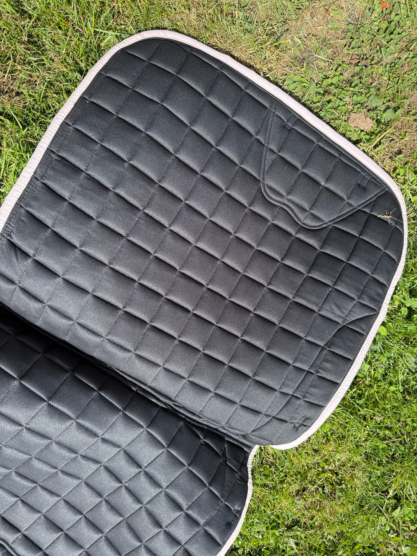 Pink Saddle Pad&Fly Veil