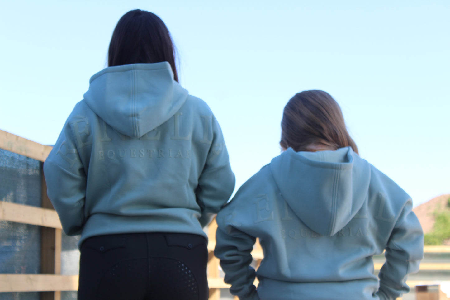 Icon Hoodie Sage
