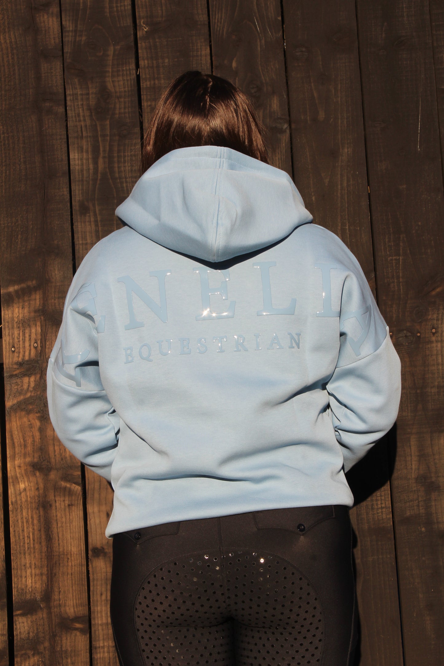 Icon Hoodie in Powder Blue